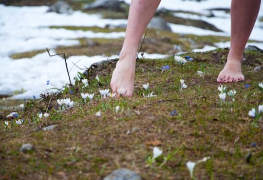 Waar kan ik een pedicure opleiding volgen bij IVS Opleidingen?