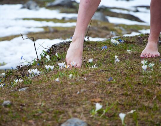 Waar kan ik een pedicure opleiding volgen bij IVS Opleidingen?